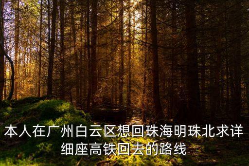 本人在廣州白云區想回珠海明珠北求詳細座高鐵回去的路線