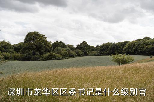 深圳市龍華新區黨工委書記，井亦軍被判多少年