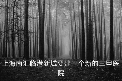 上海市三甲醫院規劃，上海九號線經過哪些三甲醫院