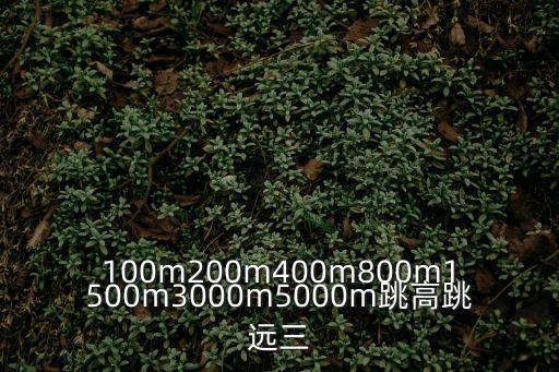 100m200m400m800m1500m3000m5000m跳高跳遠三