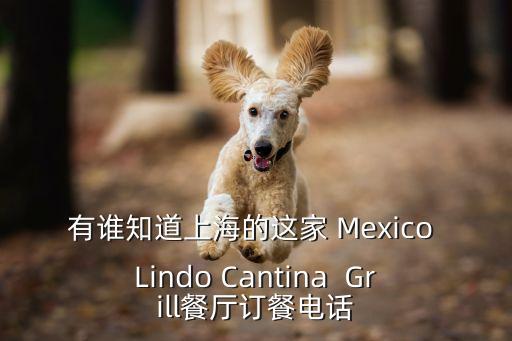 有誰知道上海的這家 Mexico Lindo Cantina  Grill餐廳訂餐電話