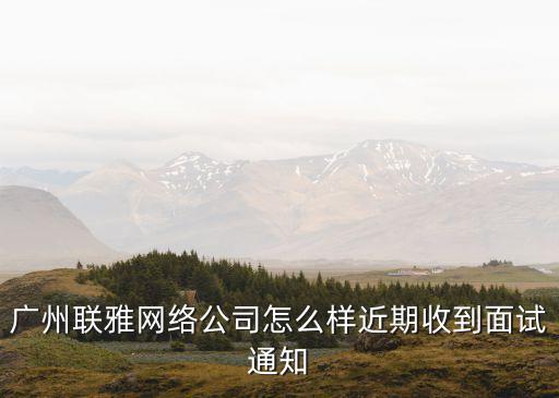 廣州聯(lián)雅 網(wǎng)絡(luò)，廣州聯(lián)雅網(wǎng)絡(luò)是做什么的呢