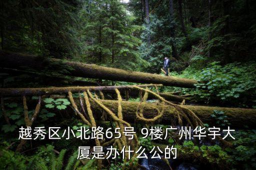 越秀區(qū)小北路65號 9樓廣州華宇大廈是辦什么公的