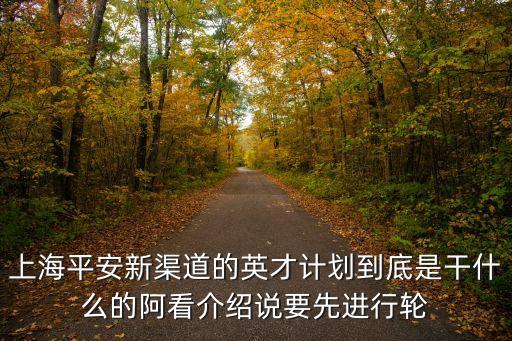 上海市英才計劃如何，上海平安新渠道的英才計劃到底是干什么的阿看介紹說要先進行輪