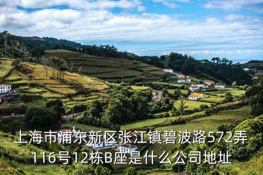 上海市浦東新區(qū)張江鎮(zhèn)碧波路572弄116號(hào)12棟B座是什么公司地址
