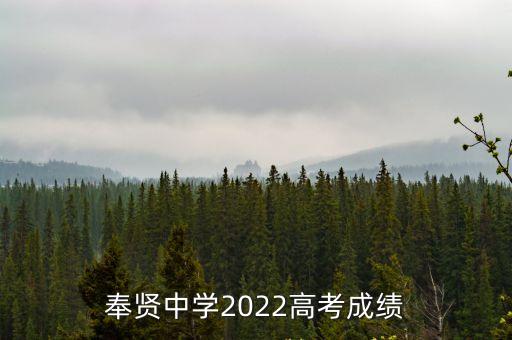 上海市奉賢中學(xué)多大，你們?nèi)ミ^奉賢中學(xué)嗎