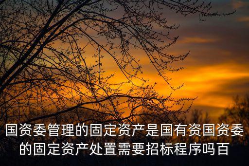 深圳國資委資產(chǎn)拍賣網(wǎng)站，國有資產(chǎn)拍賣在哪里公示