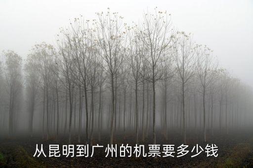 從昆明到廣州的機(jī)票要多少錢