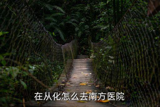 廣州從化南方醫院，在從化怎么去南方醫院
