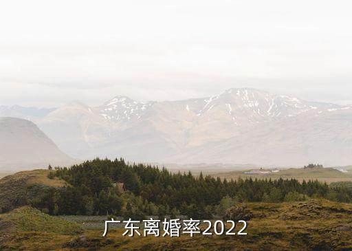 四月深圳離婚率，當今社會離婚率是多少
