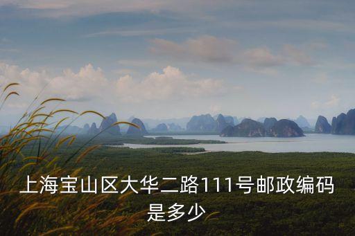 上海市嘉民處理中心郵編，上海寶山區大華二路111號郵政編碼是多少