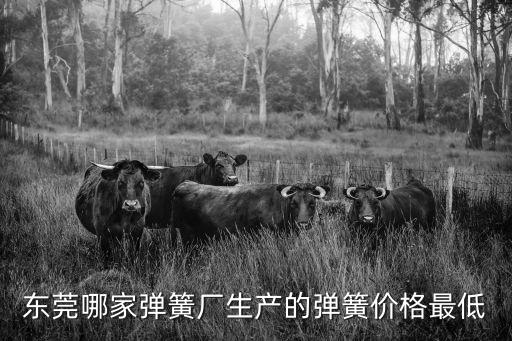東莞哪家彈簧廠生產的彈簧價格最低