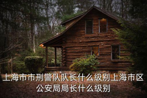 上海市市刑警隊隊長什么級別上海市區公安局局長什么級別