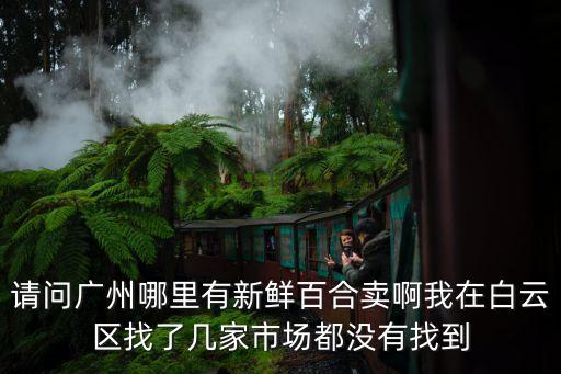 廣州百合街，你有羊城百合嗎