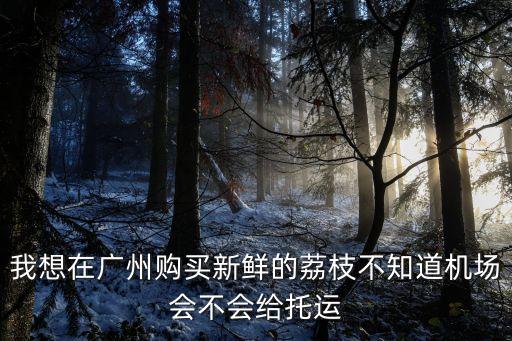 我想在廣州購買新鮮的荔枝不知道機場會不會給托運