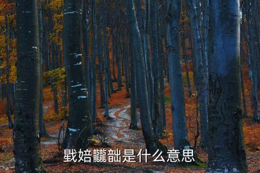 戥婄龖韷是什么意思