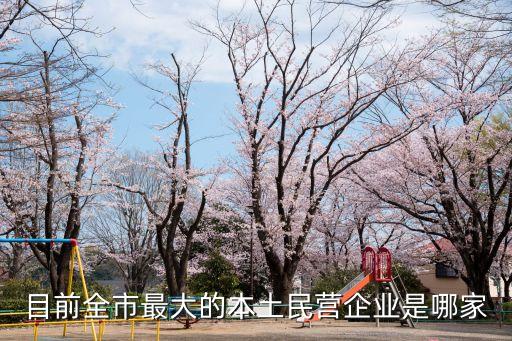 目前全市最大的本土民營企業(yè)是哪家