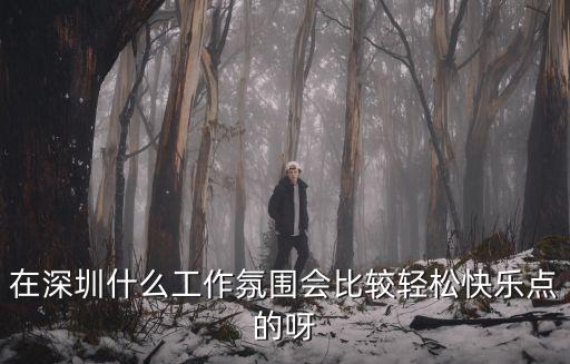 在深圳什么工作氛圍會比較輕松快樂點的呀