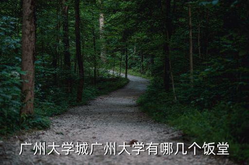 廣州大學的飯堂在哪，廣州大學大學城校區有幾個食堂有代表性的是哪兩個