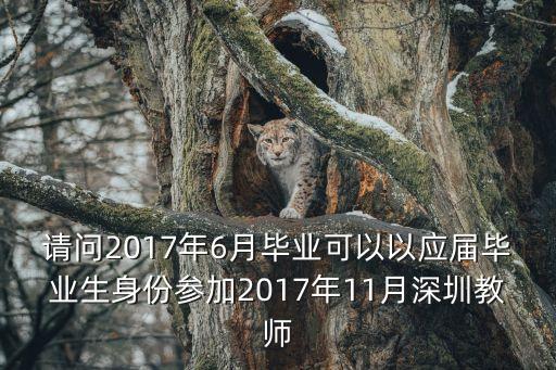 2017深圳教師考編報名，請問2017年6月畢業(yè)可以以應屆畢業(yè)生身份參加2017年11月深圳教師