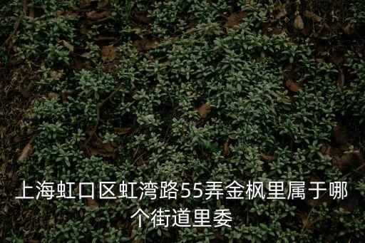 上海虹口區虹灣路55弄金楓里屬于哪個街道里委