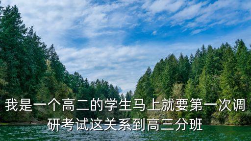 我是一個高二的學生馬上就要第一次調研考試這關系到高三分班