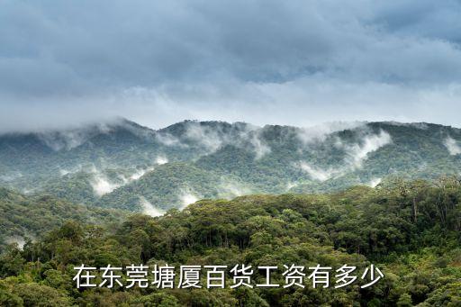 在東莞塘廈百貨工資有多少