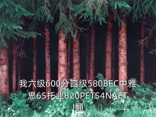 我六級600分四級580BEC中雅思65托業(yè)820PETS4NAETI翻