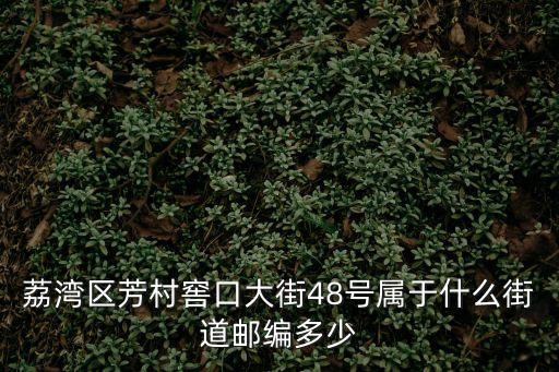 荔灣區芳村窖口大街48號屬于什么街道郵編多少