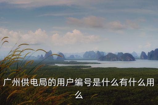 廣州供電局的用戶編號是什么有什么用么
