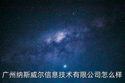 廣州納斯威爾信息技術(shù)有限公司怎么樣