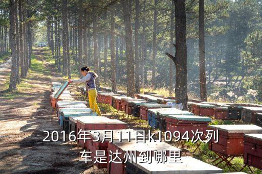 達(dá)州至深圳東k1094，kl094火車路經(jīng)幾個(gè)站到深圳東站