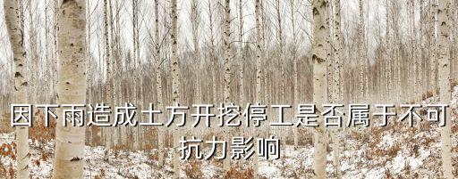 深圳土方2020延遲出土，因下雨造成土方開挖停工是否屬于不可抗力影響