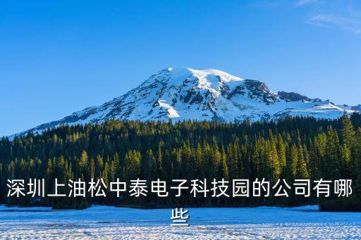 深圳市欣成科技有限公司，深圳上油松中泰電子科技園的公司有哪些
