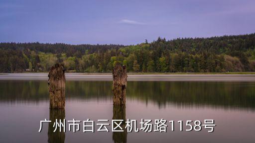 廣州安琪汽車，十萬火急 請問廣州火車站附近有一個安琪網吧嗎