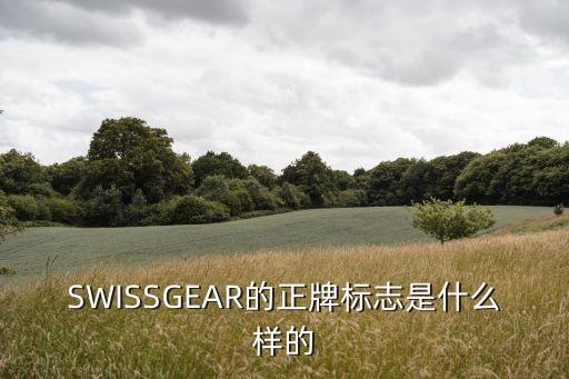 廣州珍寶巴士logo，SWISSGEAR的正牌標志是什么樣的
