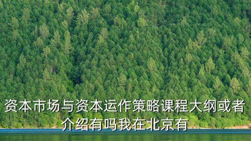 資本市場與資本運作策略課程大綱或者介紹有嗎我在北京有