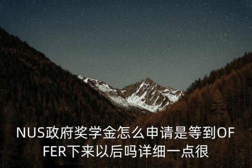NUS政府獎學金怎么申請是等到OFFER下來以后嗎詳細一點很