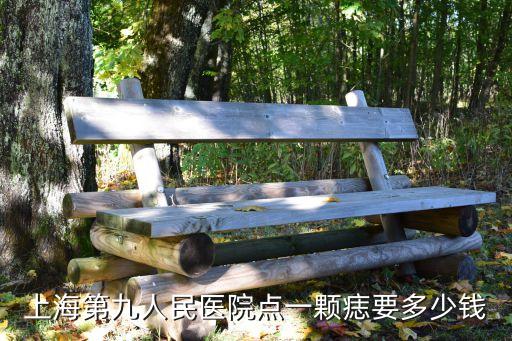 上海第九人民醫(yī)院點一顆痣要多少錢