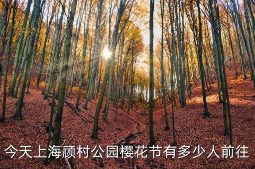 上海市顧村公園天氣預報，今天上海顧村公園櫻花節(jié)有多少人前往