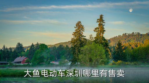 大魚電動車廠家是在深圳嗎，大魚電動車深圳哪里有售賣