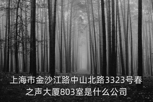 上海市機動車禁鳴喇叭企業，上海市金沙江路中山北路3323號春之聲大廈803室是什么公司