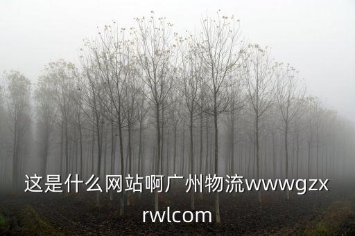 廣州匯東物流有限公司官網，這是什么網站啊廣州物流wwwgzxrwlcom