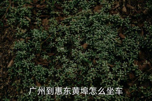廣州到惠東黃埠汽車，廣州到惠東黃埠怎么坐車