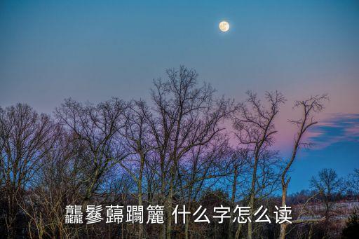 廣州乾龍騰飛，龘鬖蘬躢籭 什么字怎么讀