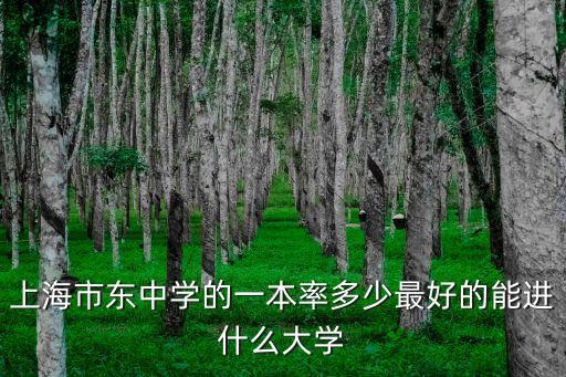 上海市東中學(xué)的一本率多少最好的能進(jìn)什么大學(xué)