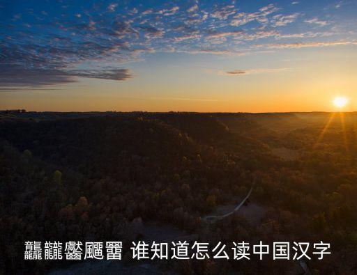 龘龖齾飅羀 誰知道怎么讀中國漢字