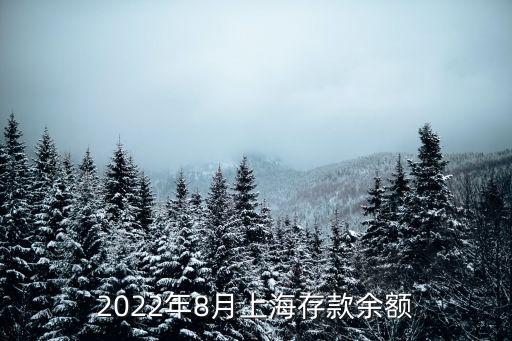 2022年8月上海存款余額