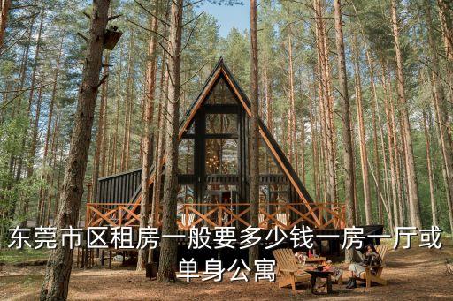 東莞市區租房一般要多少錢一房一廳或單身公寓