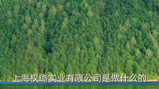 上海權(quán)璐實(shí)業(yè)有限公司是做什么的